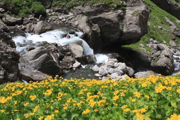 Hampta pass Trekking