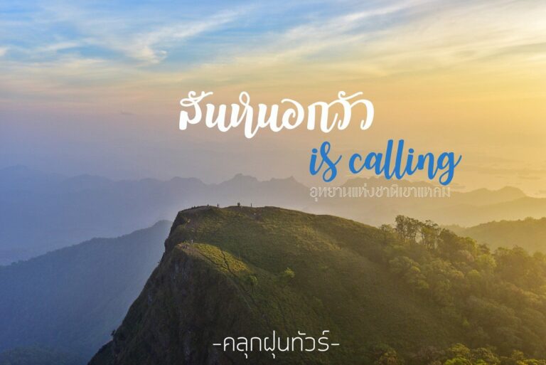 สันหนอกวัว