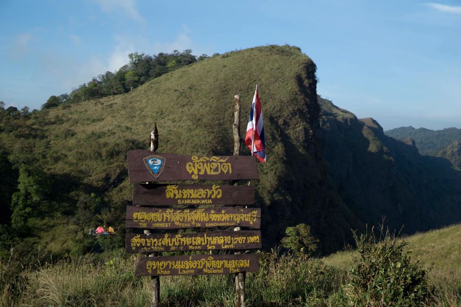 สันหนอกวัว