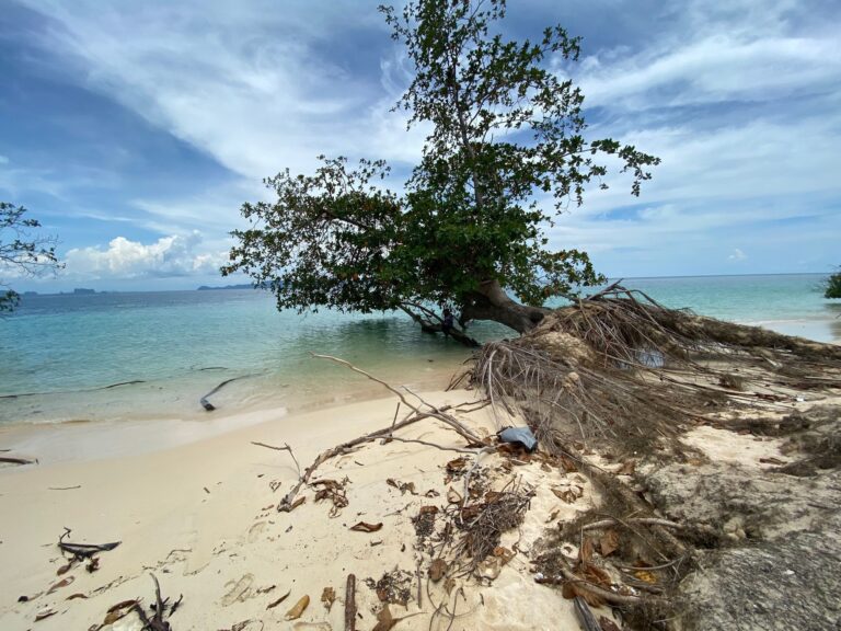 เกาะกระดาน&ถ้ำมรกต เกาะแหวน เกาะเชือก ทะเลตรัง