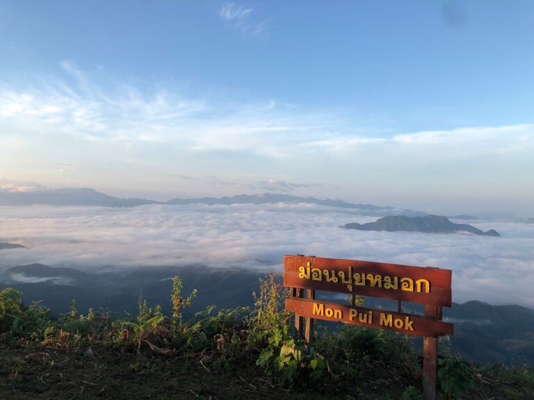 ม่อนปุยหมอก