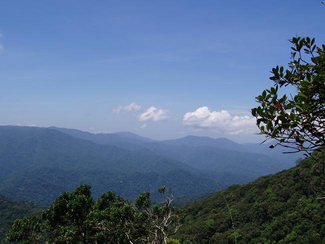 เขาหนอง