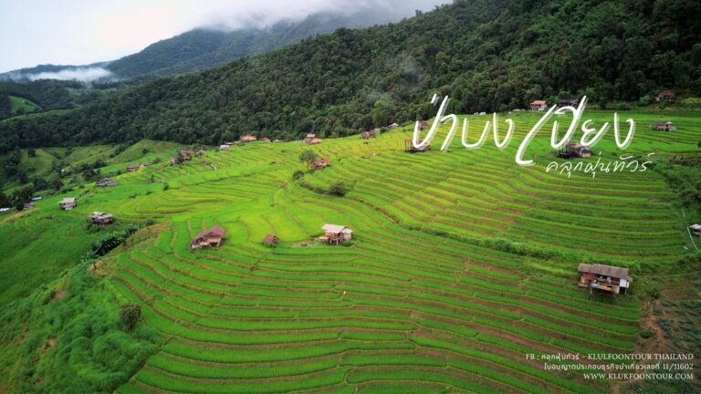 นาขั้นบันได"ป่าบงเปียง"